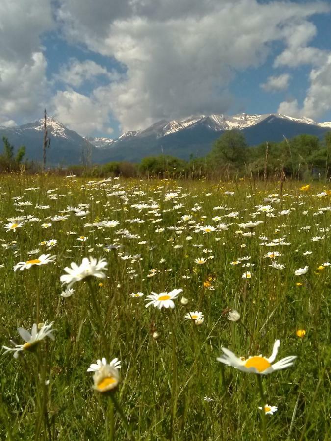 Belvedere Luxury Spa Apartments Bansko Exteriör bild